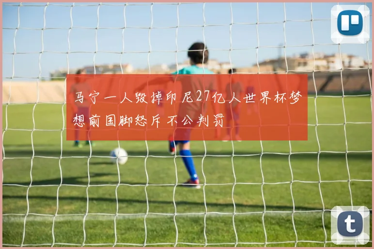 马宁一人毁掉印尼27亿人世界杯梦想前国脚怒斥不公判罚