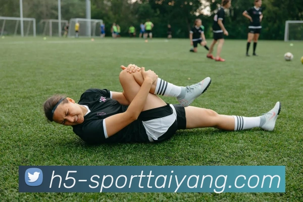 太阳城平台生态图